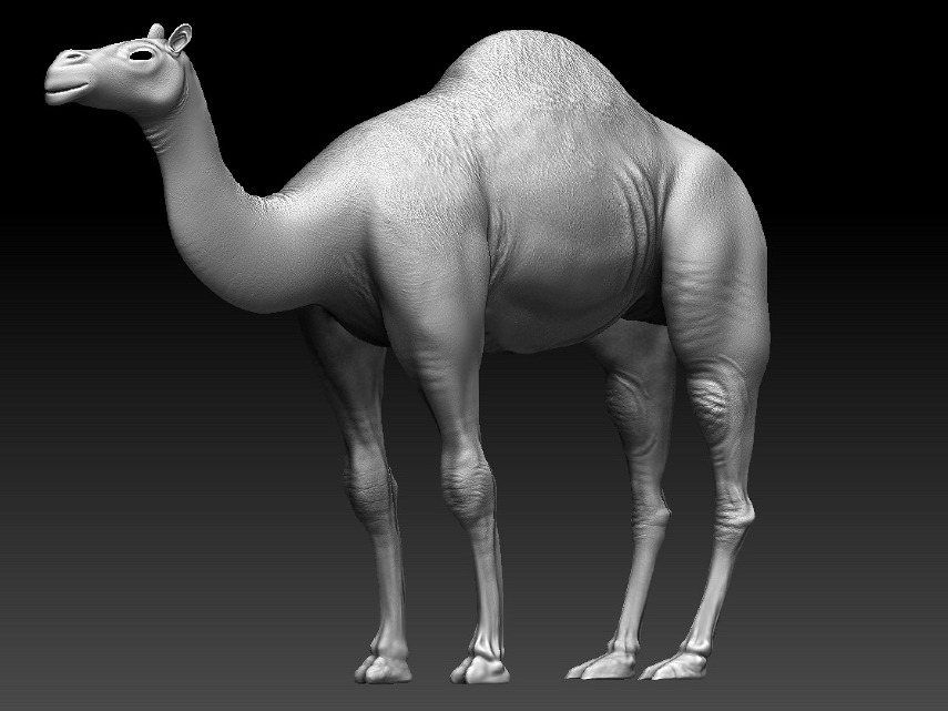 clay camel